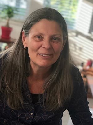 Mary Koehler - My Wild Irish Rose